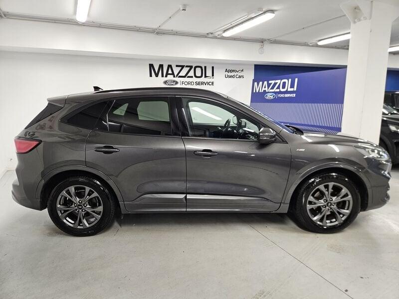 Ford Kuga 1.5 ecoblue ST-Line X 2wd 120cv