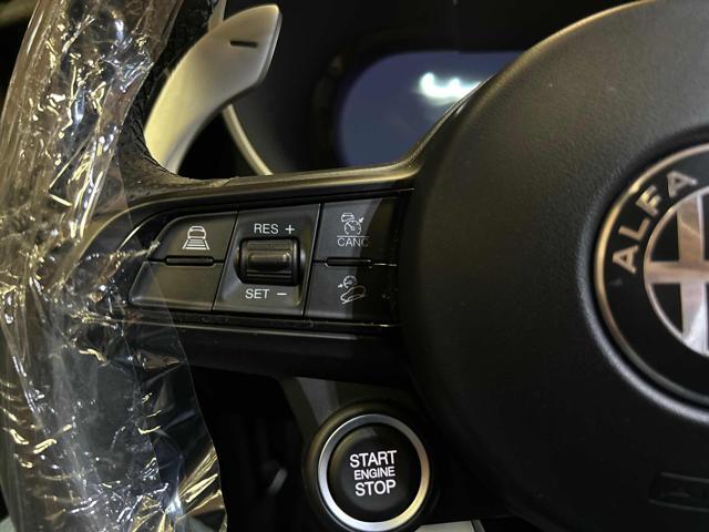 ALFA ROMEO Stelvio 2.2 Turbodiesel 210 CV AT8 Q4 Veloce
