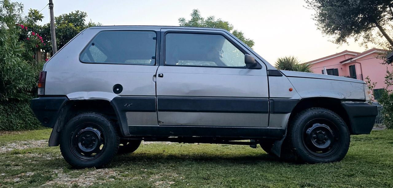 Fiat Panda (4x4...Gpl.)