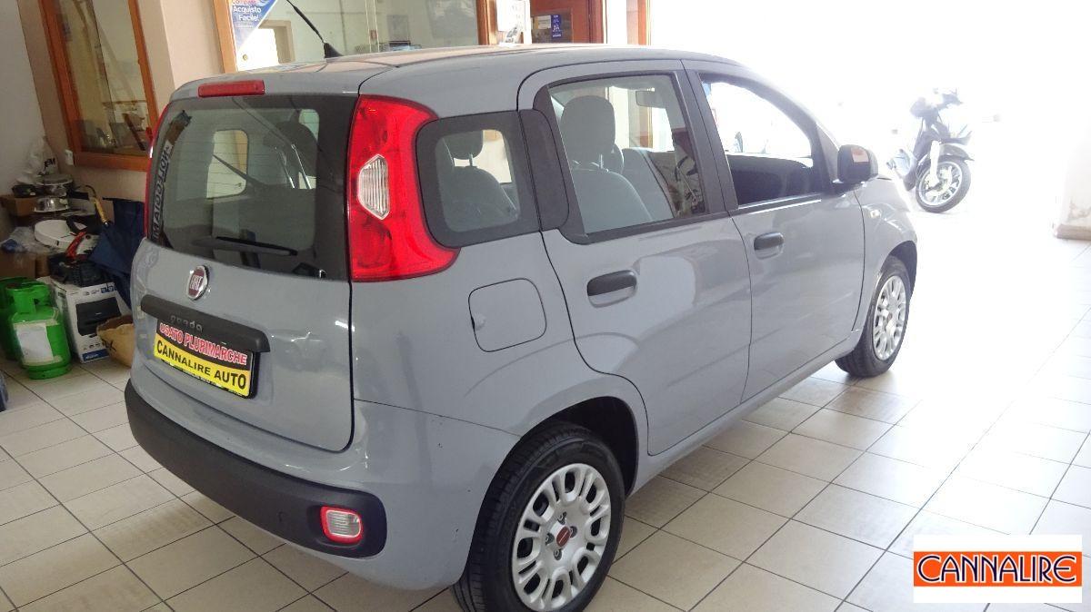 FIAT - Panda - 1.2 Easy