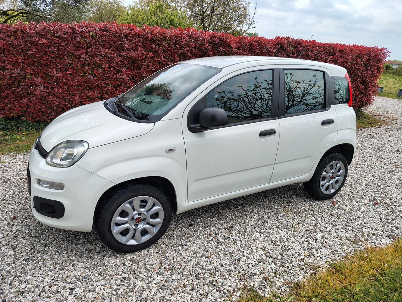 Fiat Panda Metano*Easy*Nazionale*Km certificati*Fatturabile
