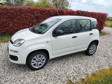 Fiat Panda Metano*Easy*Nazionale*Km certificati*Fatturabile