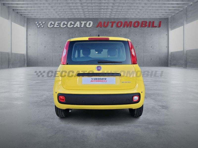 FIAT Panda Panda 1.0 70cv Hybrid Icon