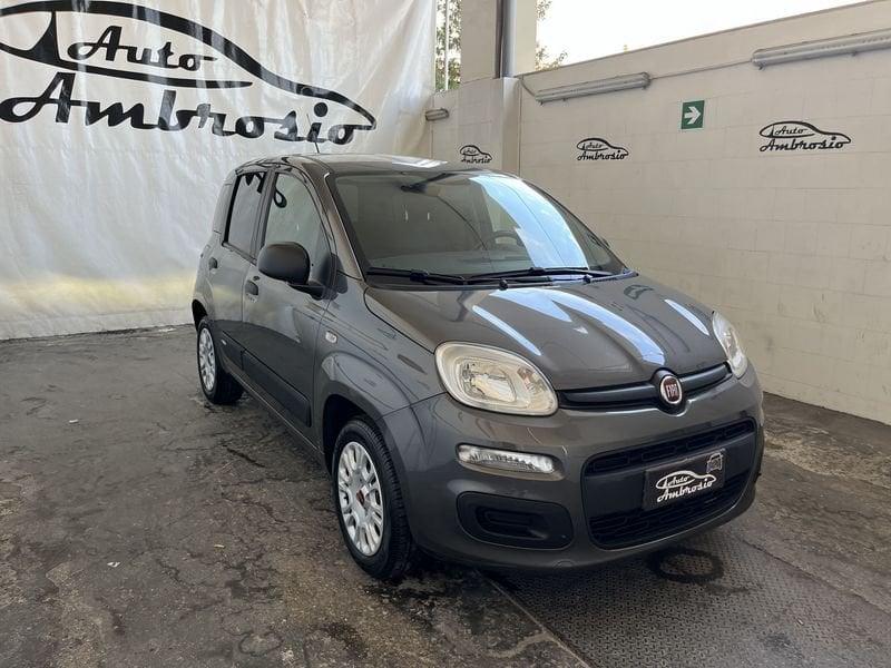 FIAT Panda Panda 1.2 Easy tua 110,00 al mese