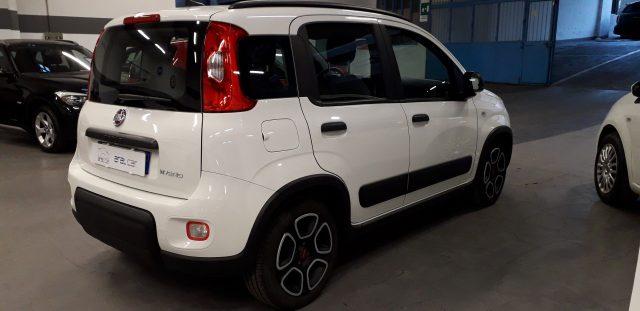 FIAT Panda 1.0 FireFly S&S Hybrid 70 CV CITY LIFE