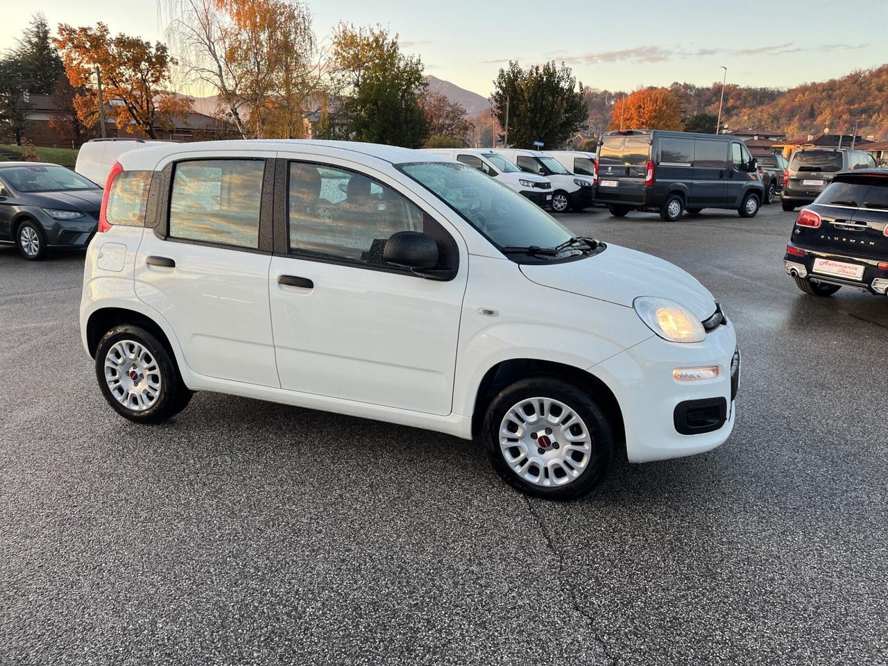 FIAT PANDA EASY 1200 CC 69 CV