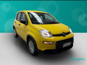 FIAT Panda III 2024 - Panda 1.0 firefly hybrid s&s 70cv