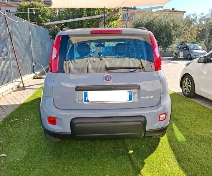 Fiat Panda 1.0 FireFly Hybrid City Life 70cv anno 2022