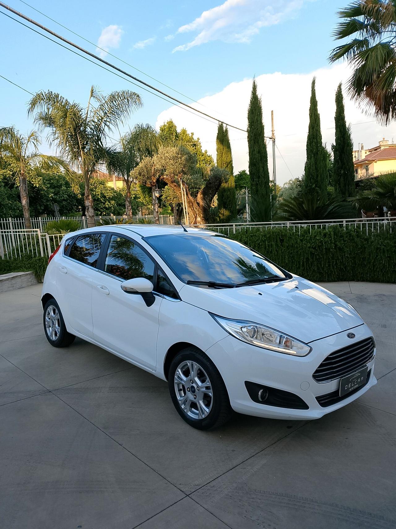 Ford Fiesta 1.4 5 porte Bz.- GPL Black & White Edition