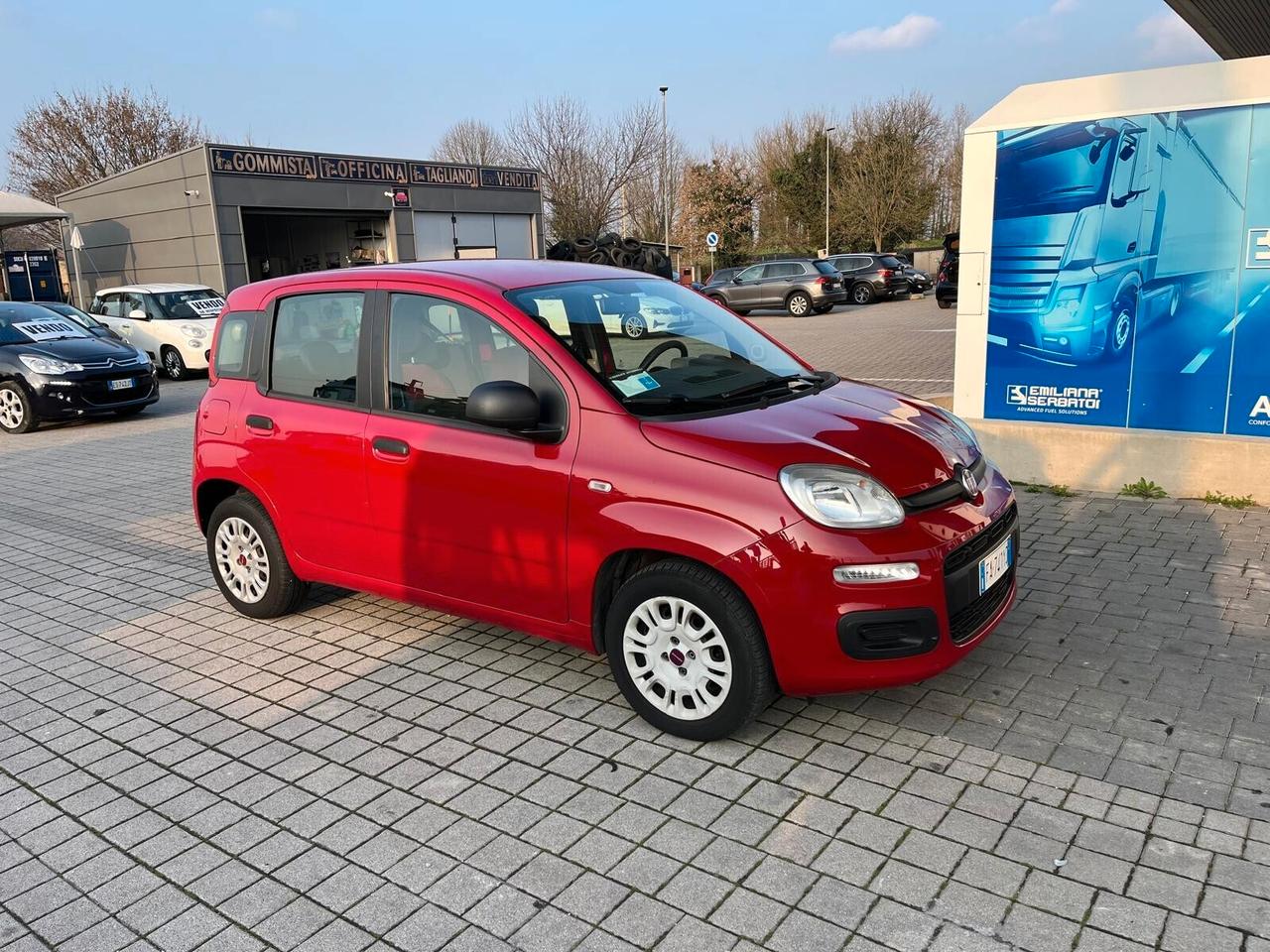 Fiat Panda Cinghia fatta