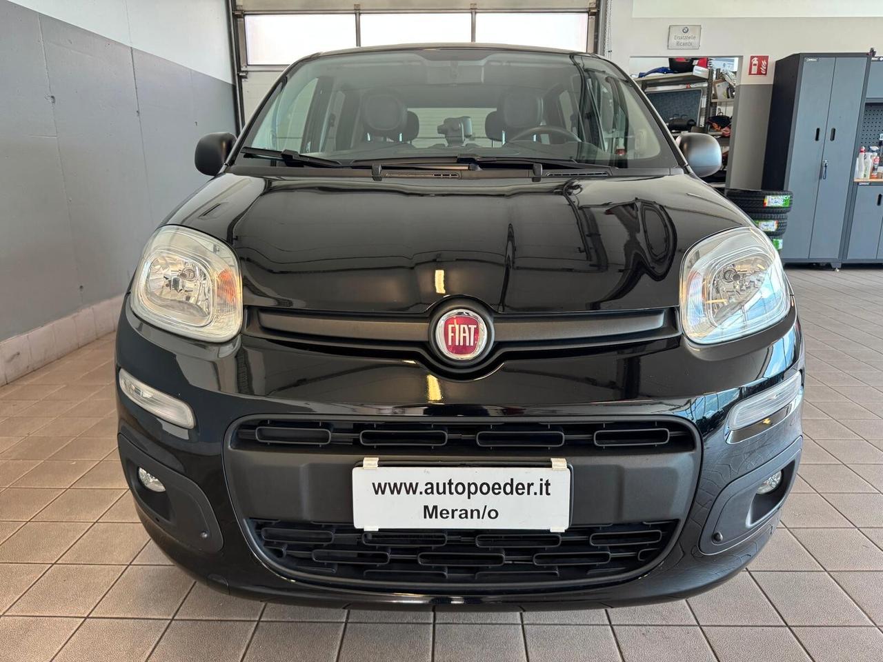 Fiat Panda 1.2 More
