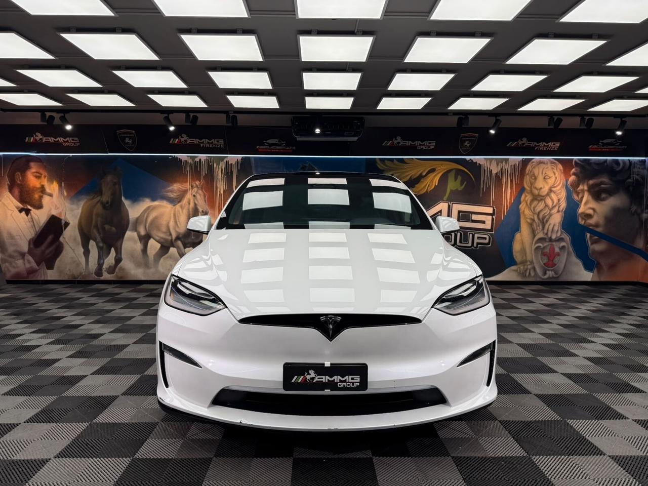 Tesla Model X Dual Motor AWD (803)