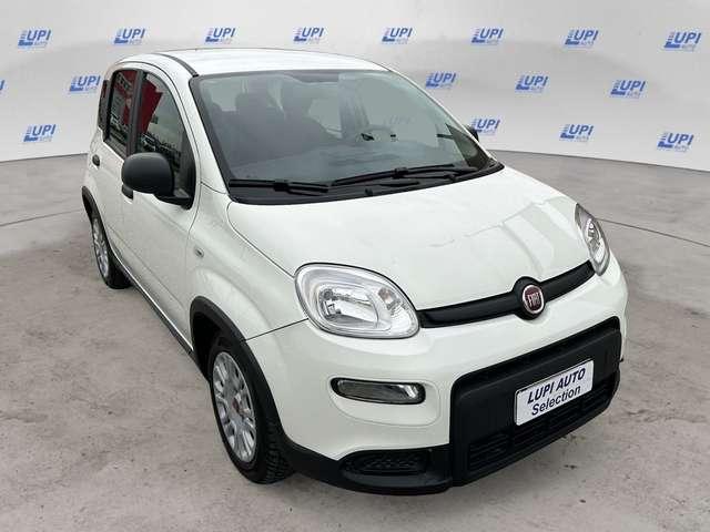 Fiat Panda 1.0 firefly hybrid s&s 70cv 5p.ti
