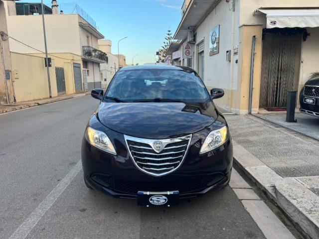 LANCIA Ypsilon 1.2 69 CV Elefantino Rosa