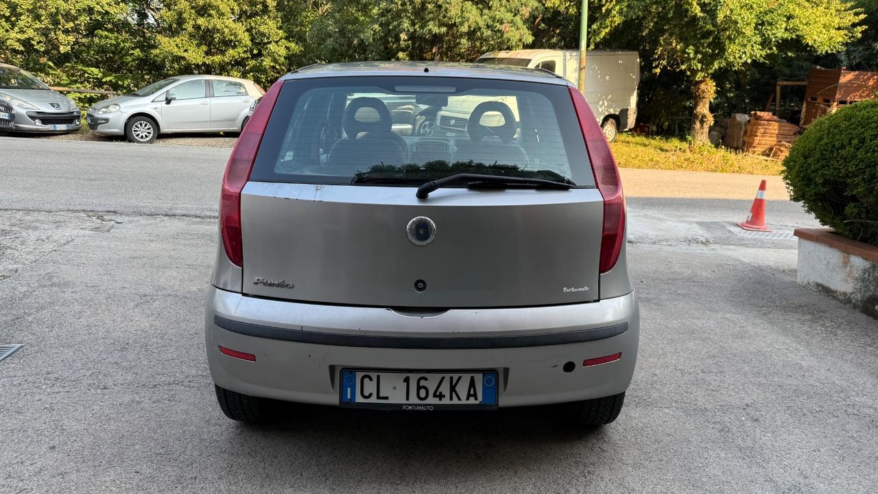 Fiat Punto 1.2i cat 5 porte Feel