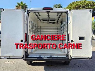 Fiat Ducato 3.0 Metano FRIGO TRASP. CARNE