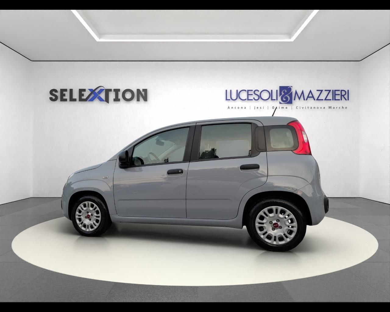 FIAT PANDA - Panda 1.0 FireFly S&S Hybrid