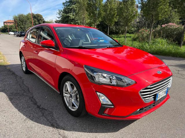 FORD Focus 1.0 EcoBoost 100 CV 5p. Business