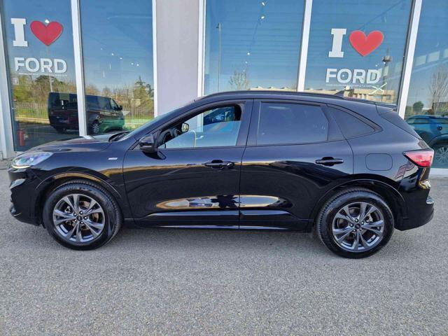 FORD Kuga 1.5 EcoBlue 120 CV 2WD ST-Line