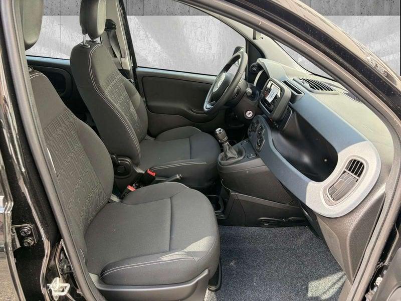 FIAT Pandina 1.0 firefly hybrid Icon s&s 70cv