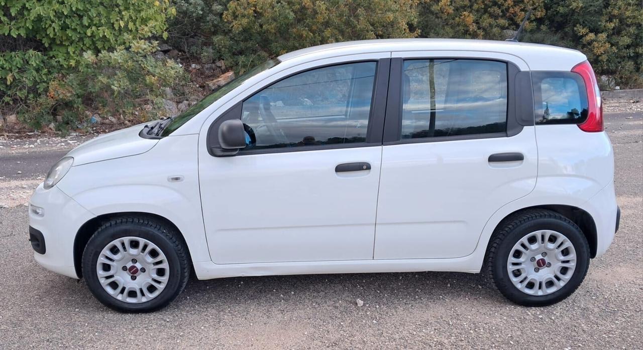 Fiat Panda 1.2 GPL EasyPower Easy (IVA ESPOSTA)