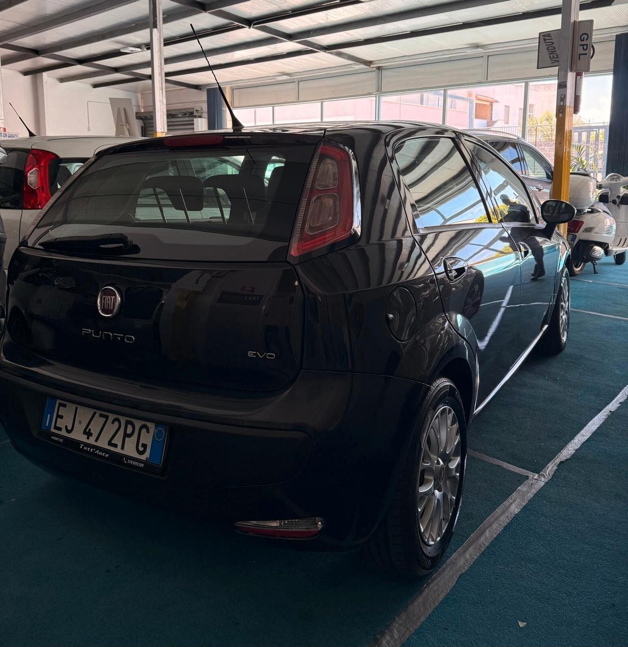 Fiat Punto Evo Punto Evo 1.3 Mjt 95 CV DPF 5 porte S&S Sport