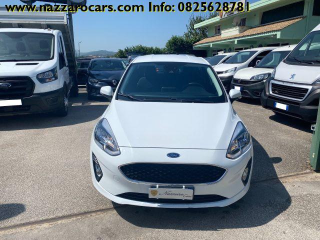 FORD Fiesta 1.5 EcoBlue 5 porte Business CARPLAY