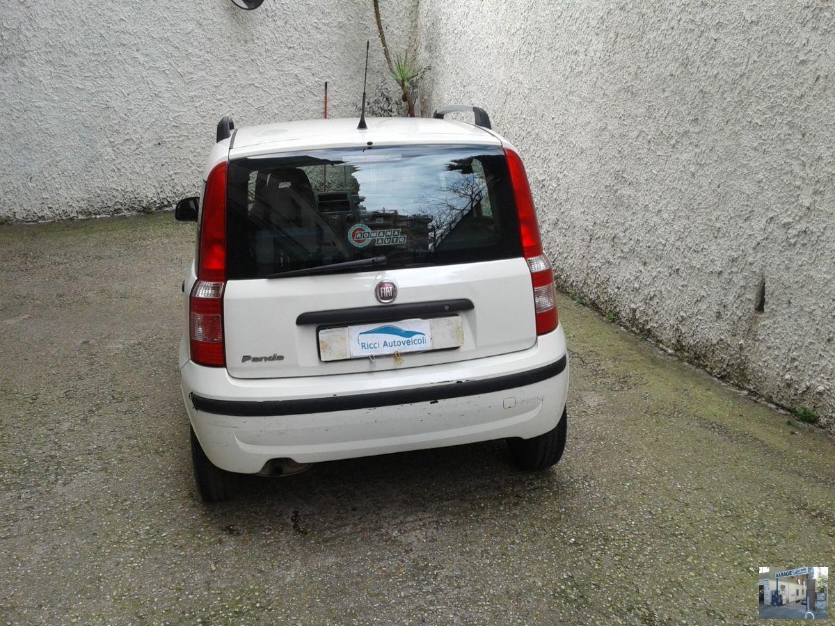 FIAT - Panda - 1.2 Dynamic