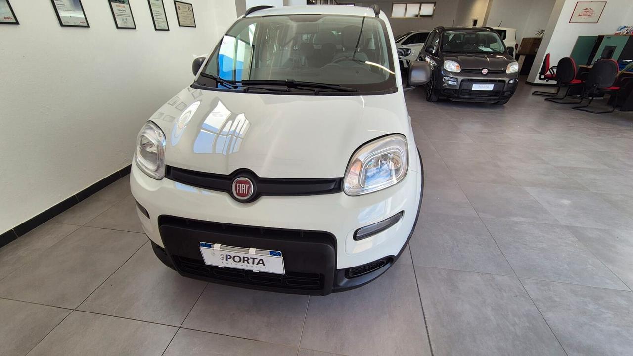 Fiat Panda 1.0 FireFly S&S Hybrid