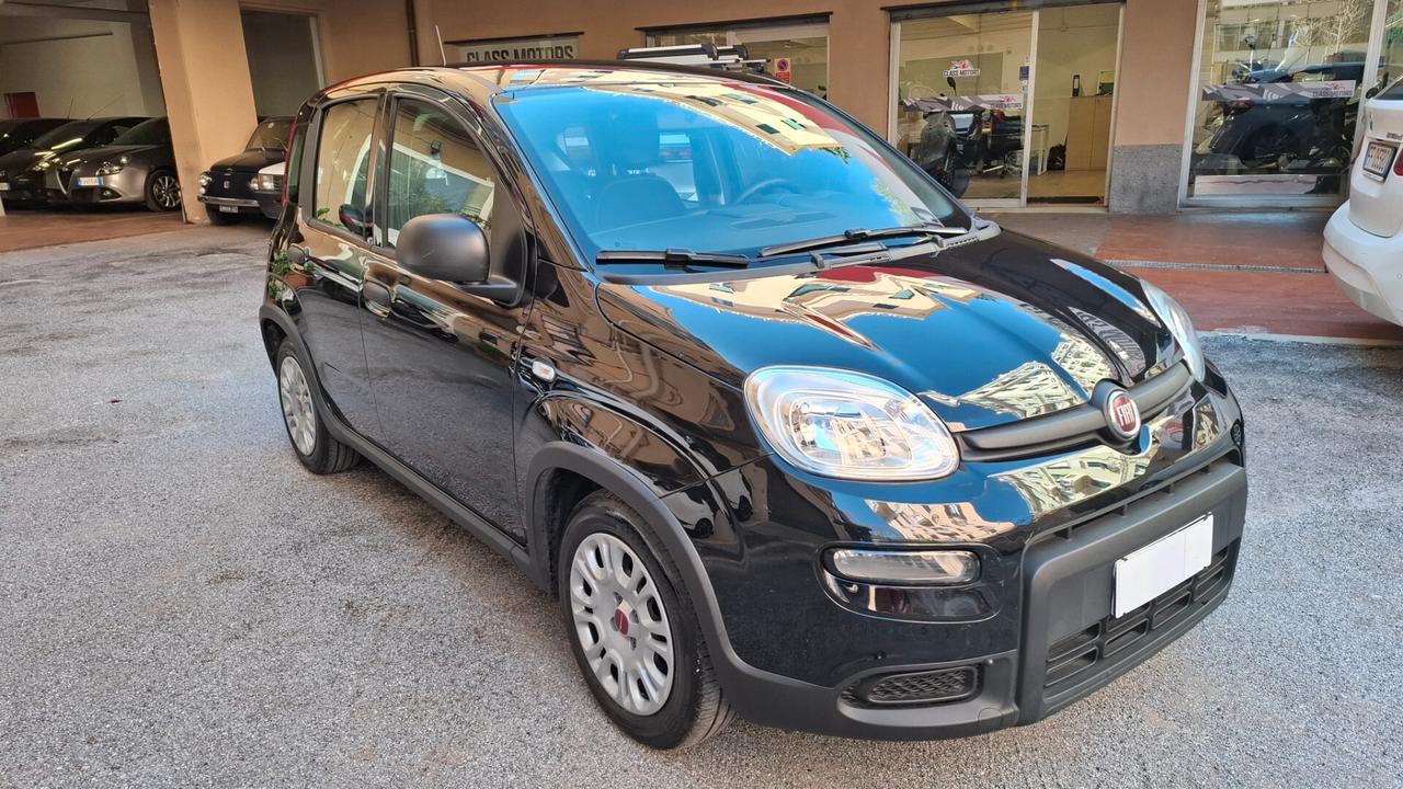 Fiat Panda 1.0 FireFly S&S Hybrid City Life