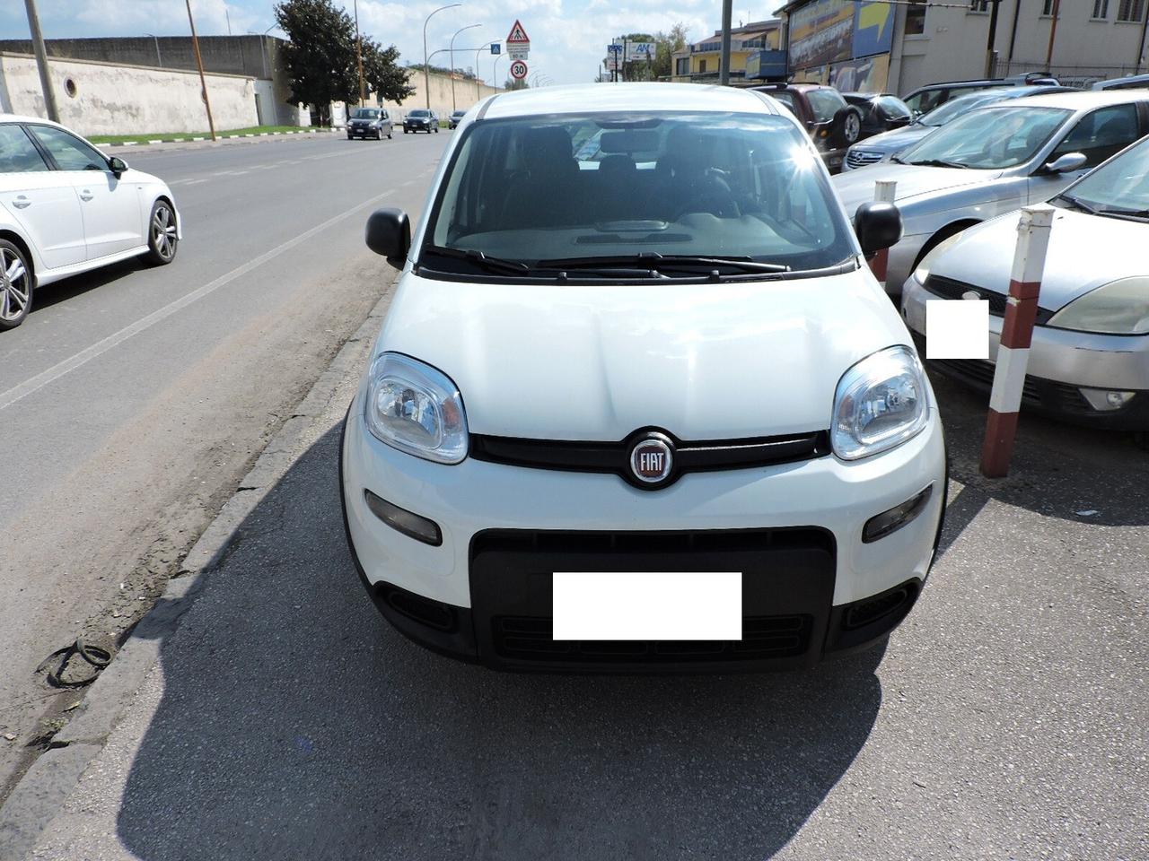 Fiat Panda 1.0 ibrida solo noleggio