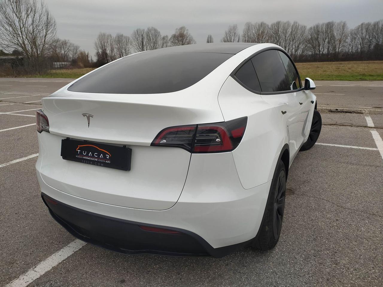 Tesla Model Y Standard Range / Standard #9113