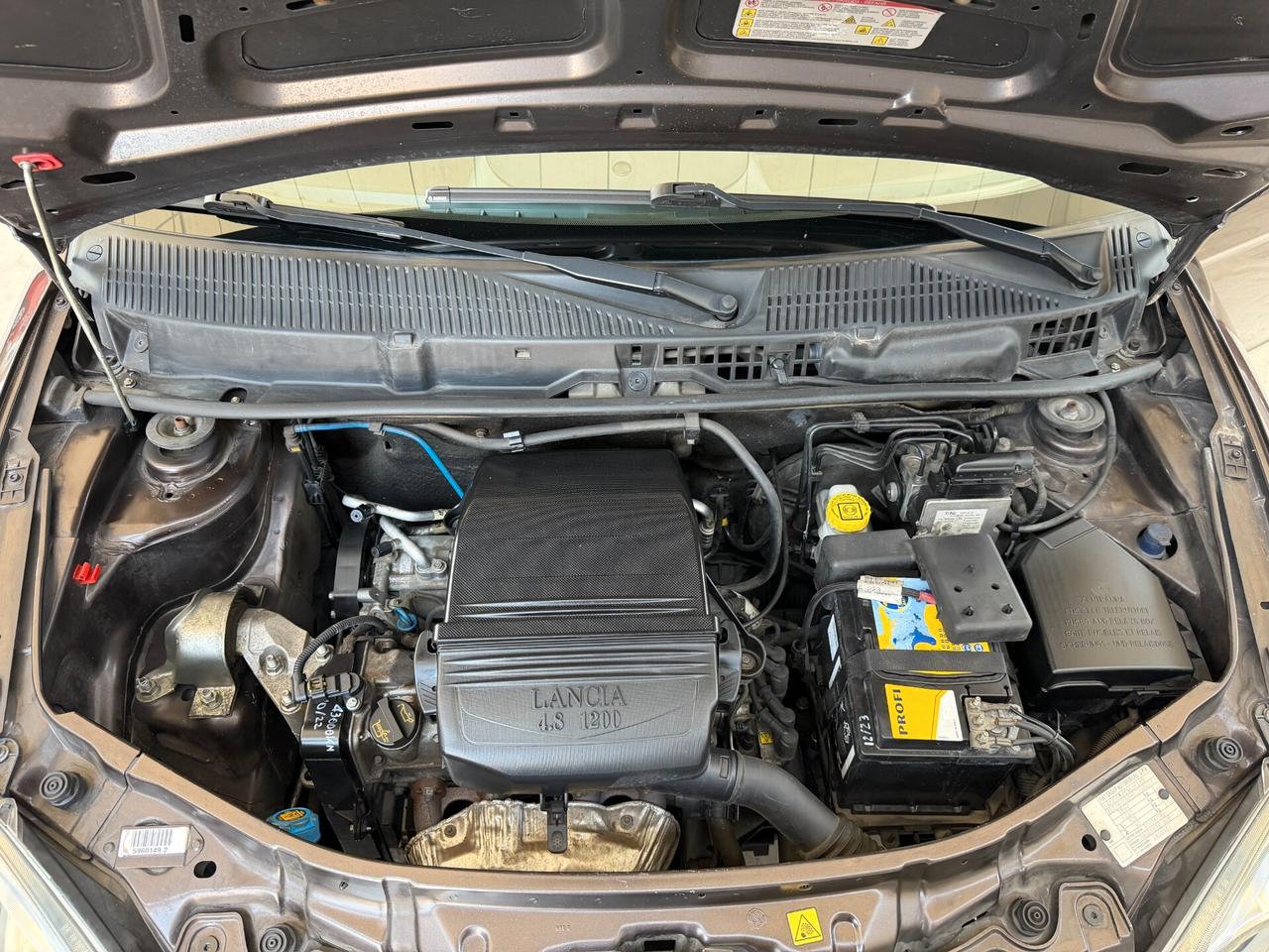 Lancia Ypsilon 1.2 Oro