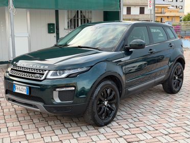 Land Rover Range Evoque 2.0 TD4 150 CV 5p. Business Edition SE