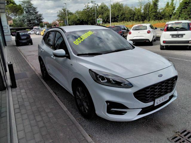 FORD Kuga 1.5 EcoBlue 120 CV 2WD ST-Line