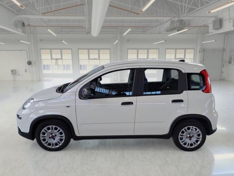 FIAT PANDA 1.0 FIREFLY 70 CV SES HYBRID 5 PORTE BERLINA