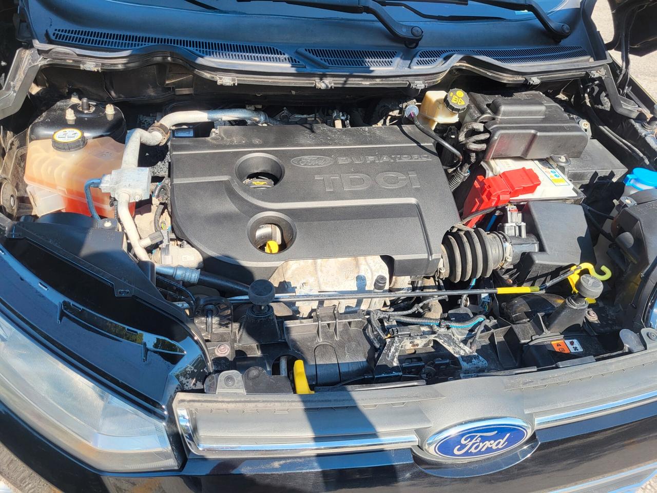Ford EcoSport 1.5 TDCi-TUTTI TAGLIANDI FORD