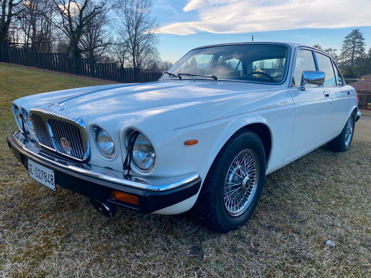 Daimler Jaguar double six 5.3 Targa Oro Asi