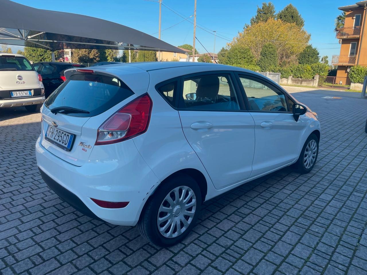 Ford Fiesta 1.5 TDCi 75CV 5 porte Business