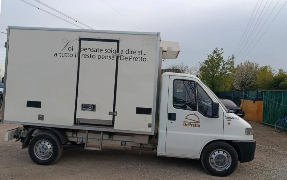 Fiat ducato frigo Senza ATP