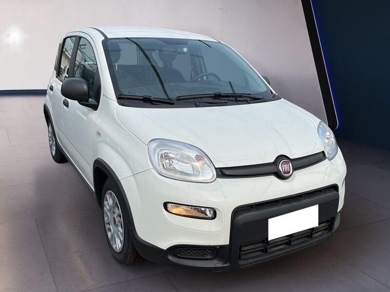 FIAT Panda My23 1.0 70cv Hybrid Panda