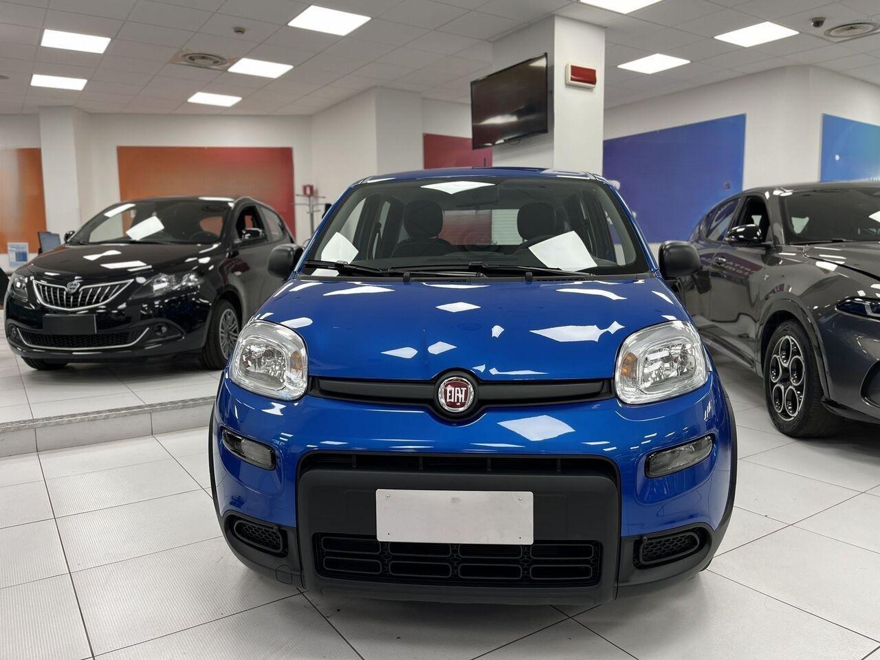FIAT Panda III 2021 - Panda 1.0 firefly hybrid s&s 70cv
