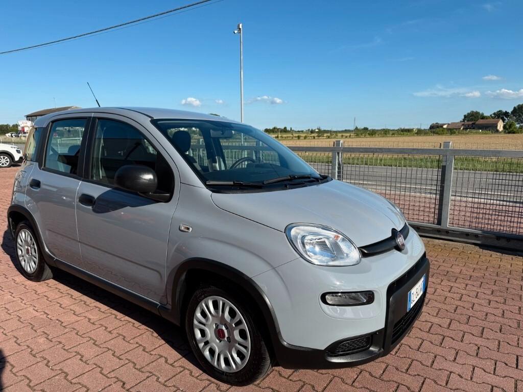 Fiat Panda 1.0 FireFly S&S Hybrid Euro6d
