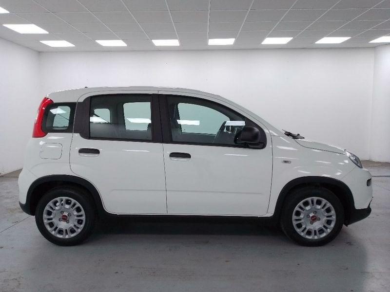 FIAT Panda 1.0 firefly hybrid s&s 70cv