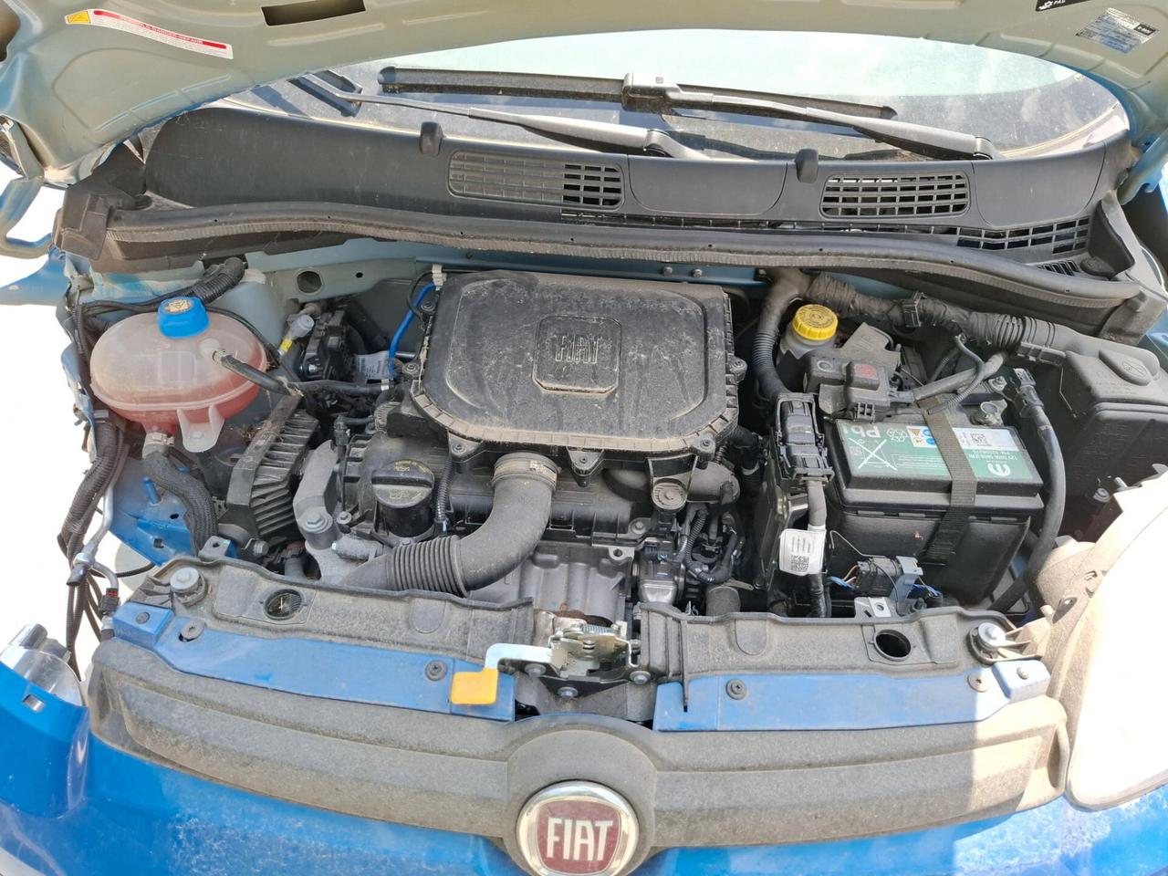 Fiat Panda 1.0 Hybrid - SINISTRATA