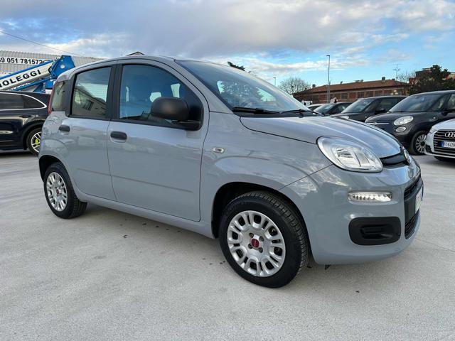 FIAT Panda 1.2 Easy 69cv OK NEOPATENTATO