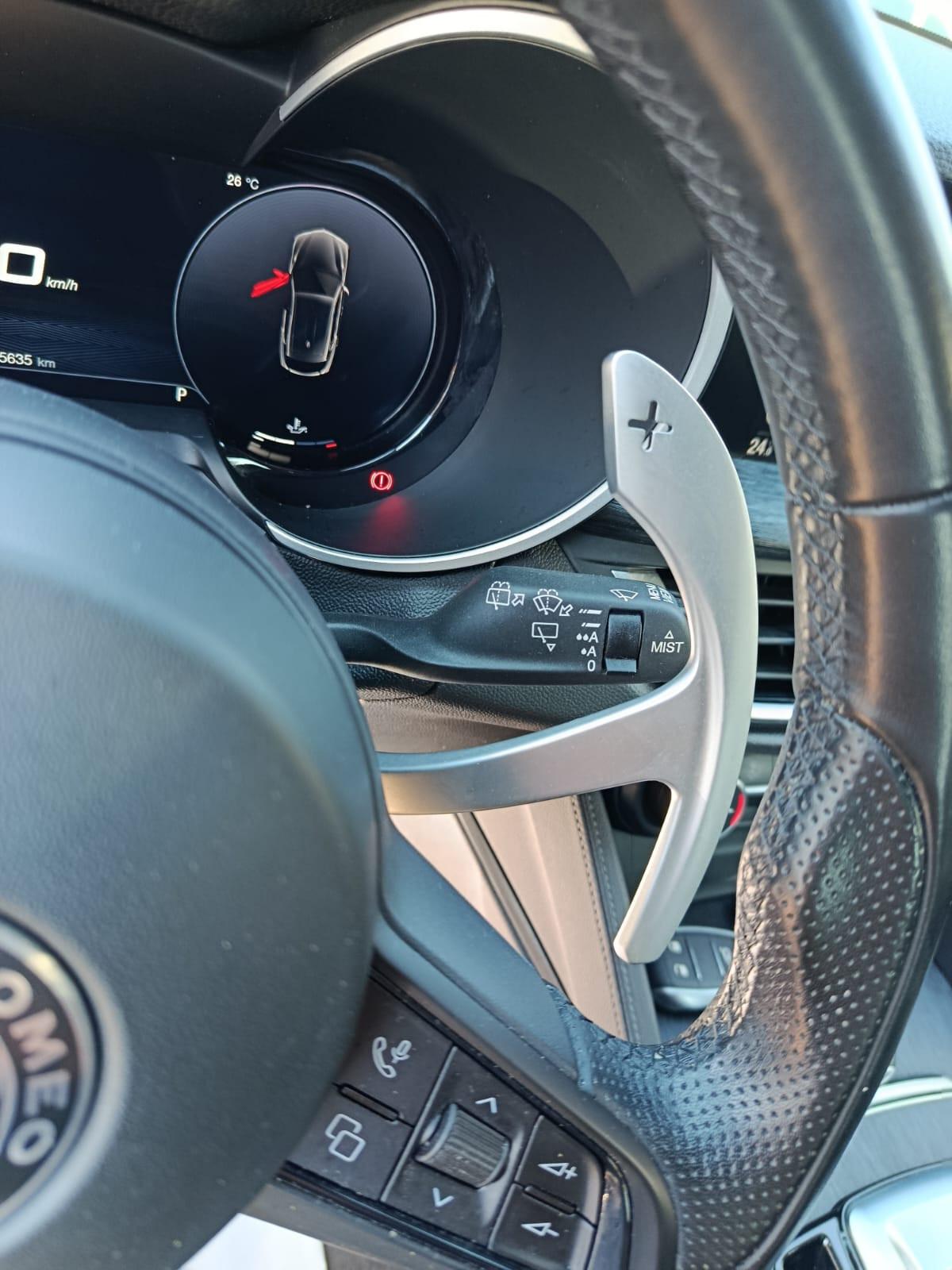 Alfa Romeo Stelvio 2.2 Turbodiesel 210 CV AT8 Q4