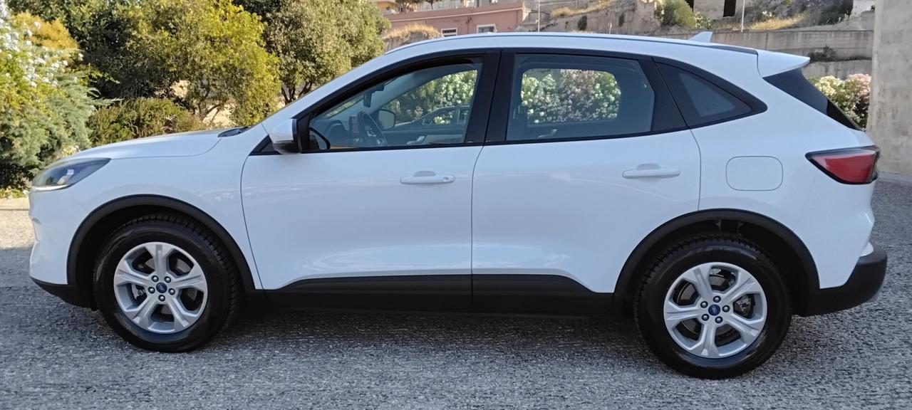 Ford Kuga 1.5 EcoBlue 120 CV aut. 2WD Titanium Business