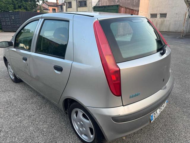 FIAT Punto neopatentati Stupenda 1.2i 16V cat 5P HLX