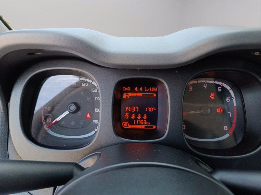 FIAT Panda 1.0 firefly hybrid City Cross s&s 70cv 5p.ti del 2023